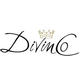 Referenz Divinco
