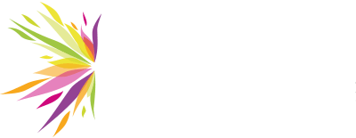 Logo MediaBal Fotografie